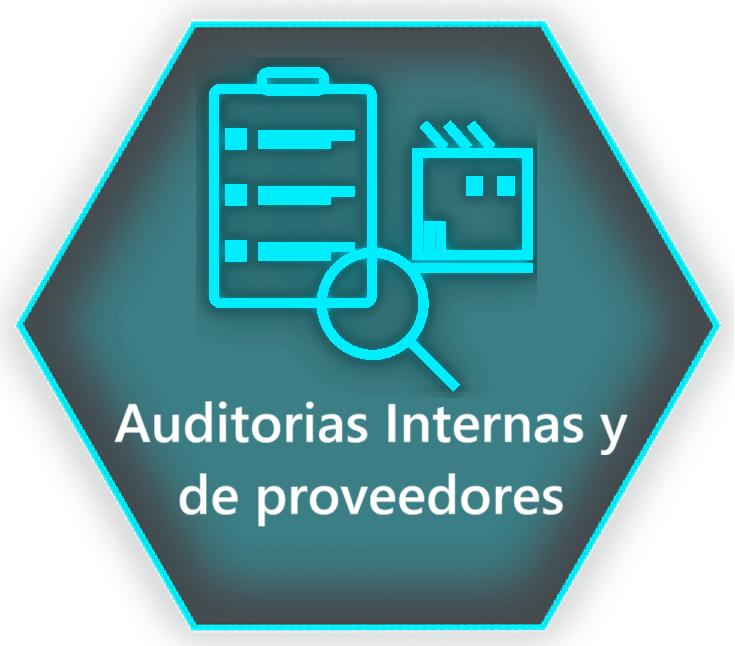 auditorias1